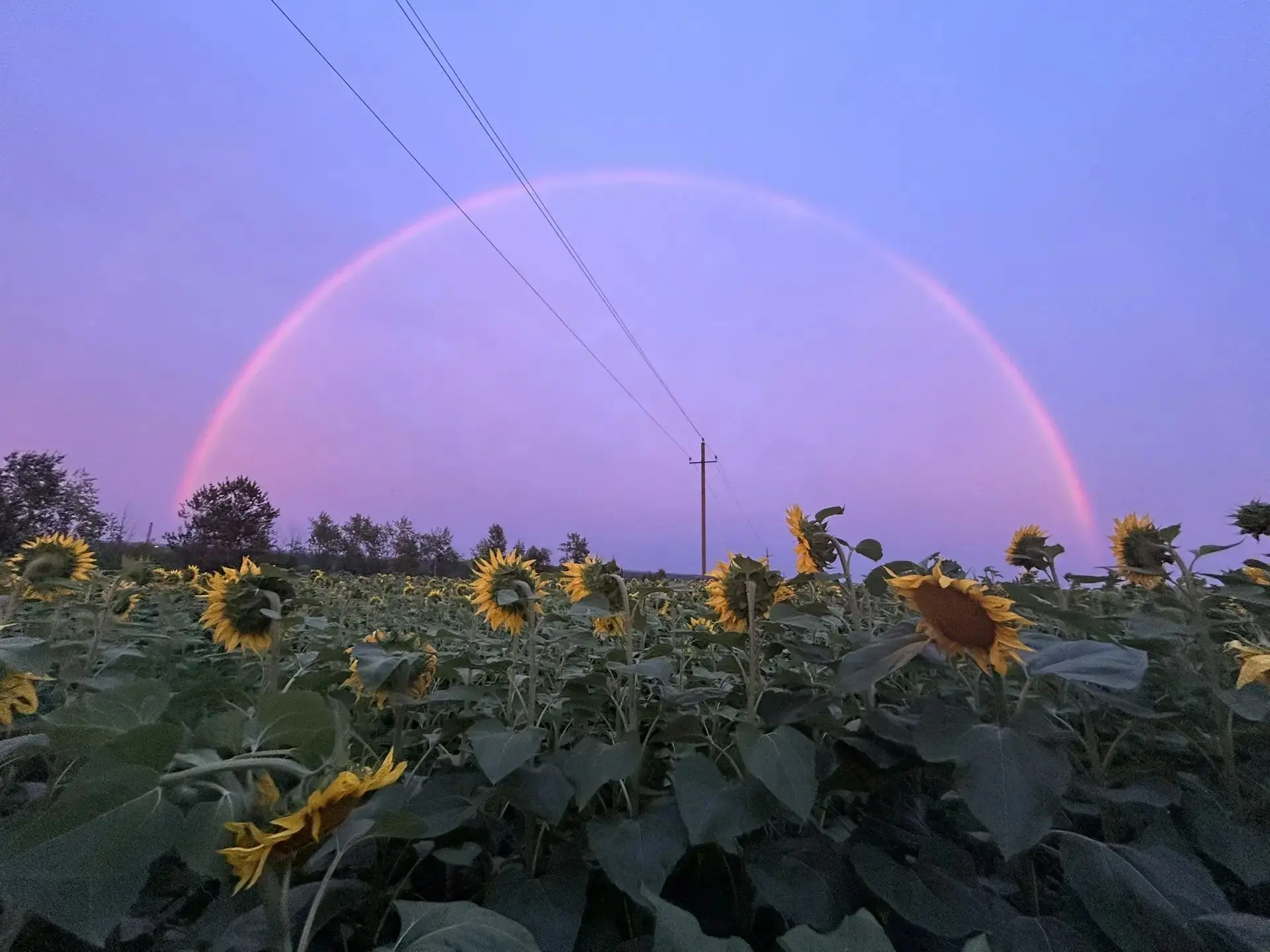 Друзья, а вы видели сегодня радугу 🌈?