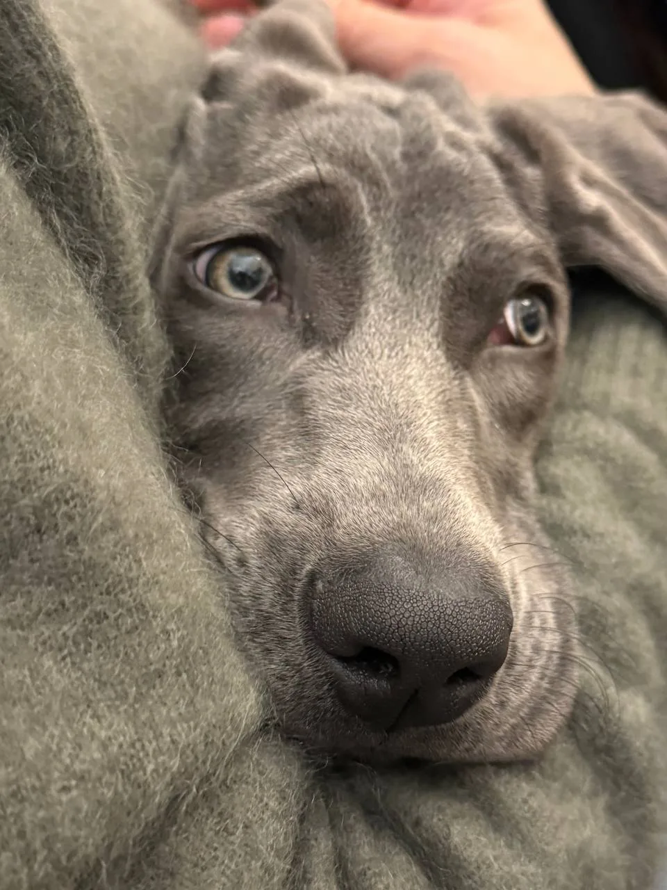 Хороших всем выходных — от меня и Риты 🐾🐾