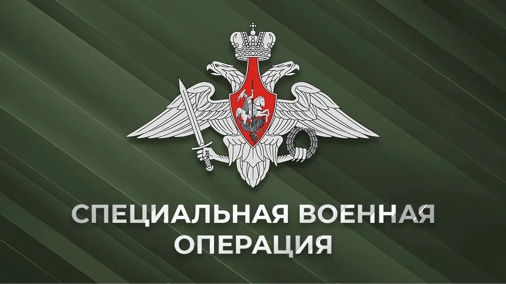⚖️ Социальная поддержка студентов юридического факультета