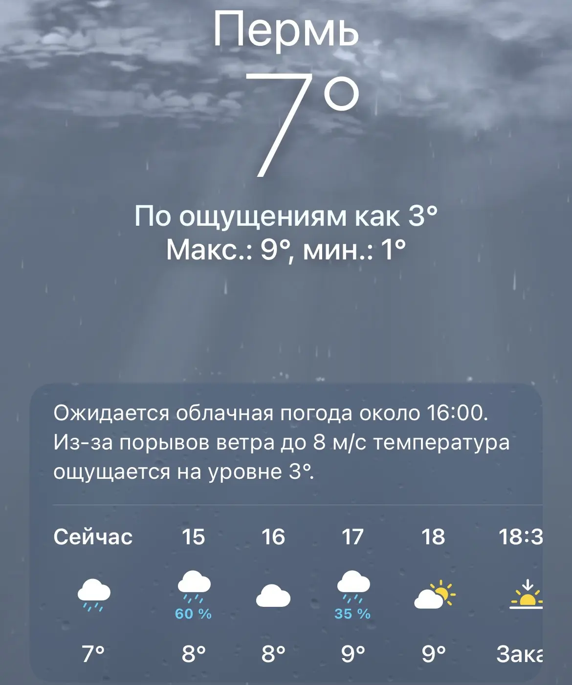 🌧️ Погода сейчас