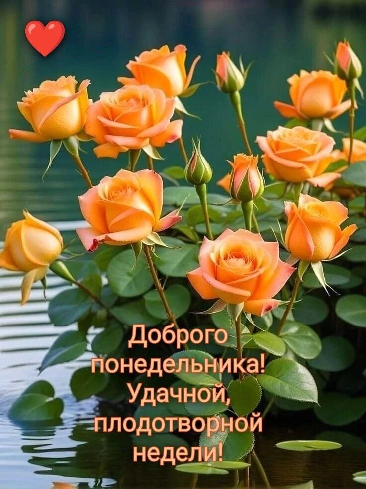 Прекрасного утра! Хорошего настроения! ☕🌞🌹