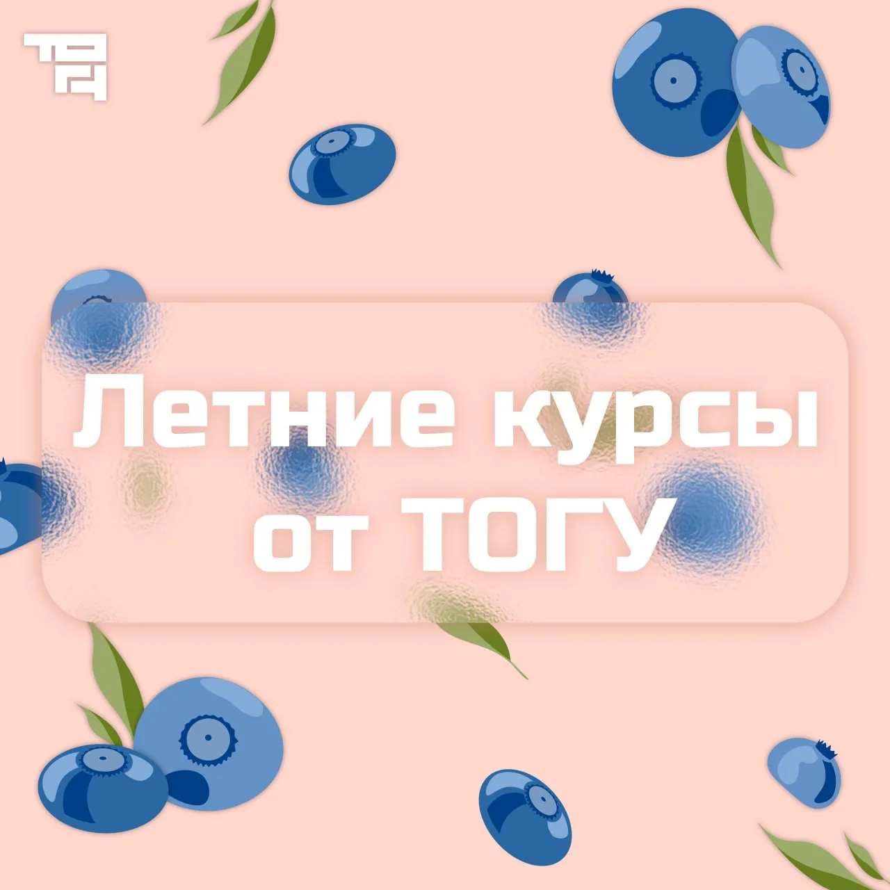 Мы открываем набор на летние курсы! 🤩