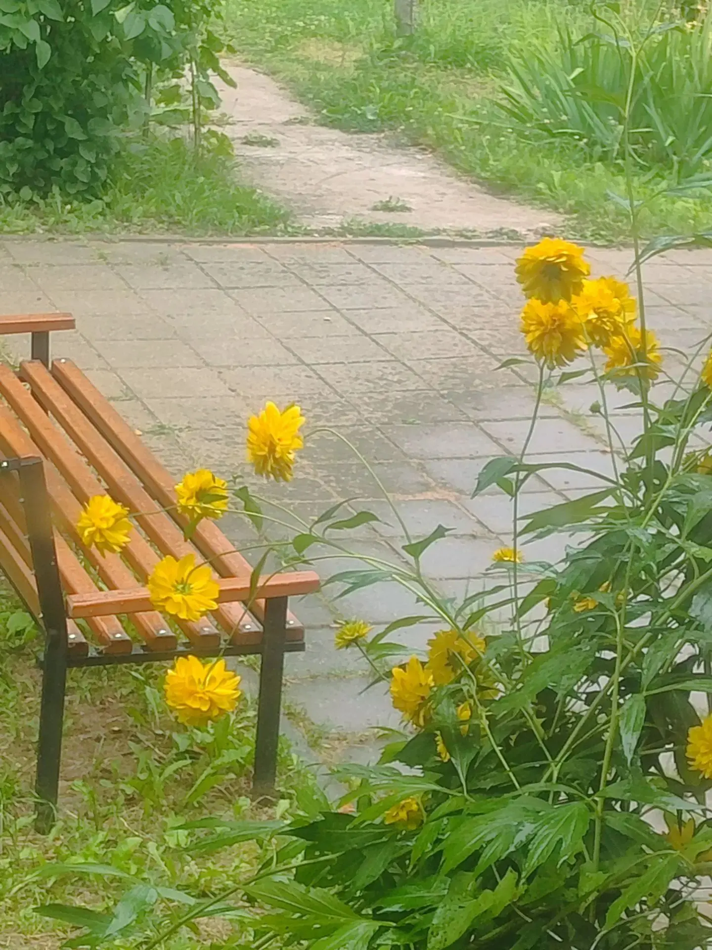 Граница дождя
