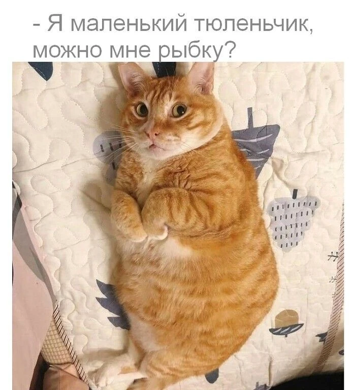 - Добри два часа нощи в хату.
