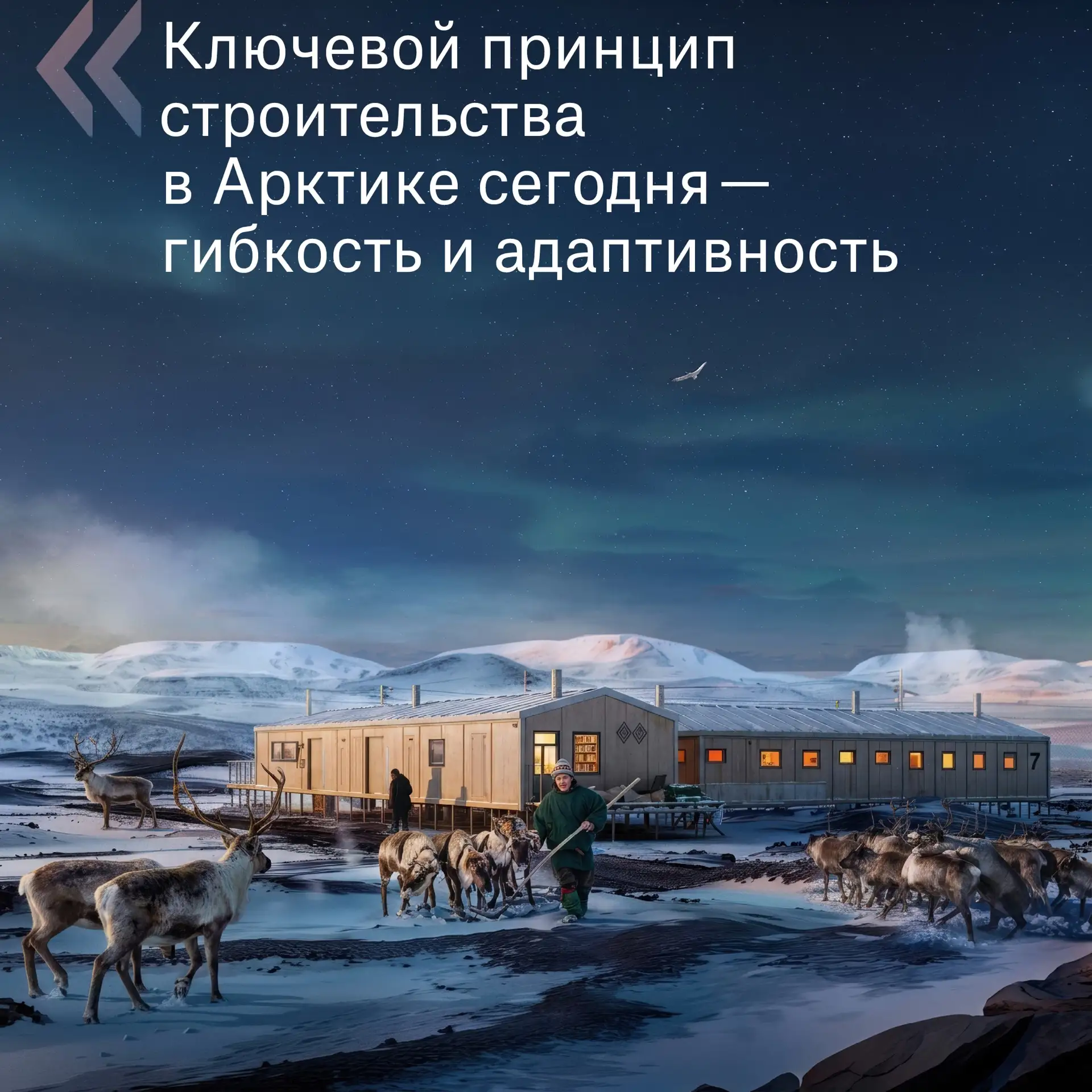 🔹Ощущение Севера