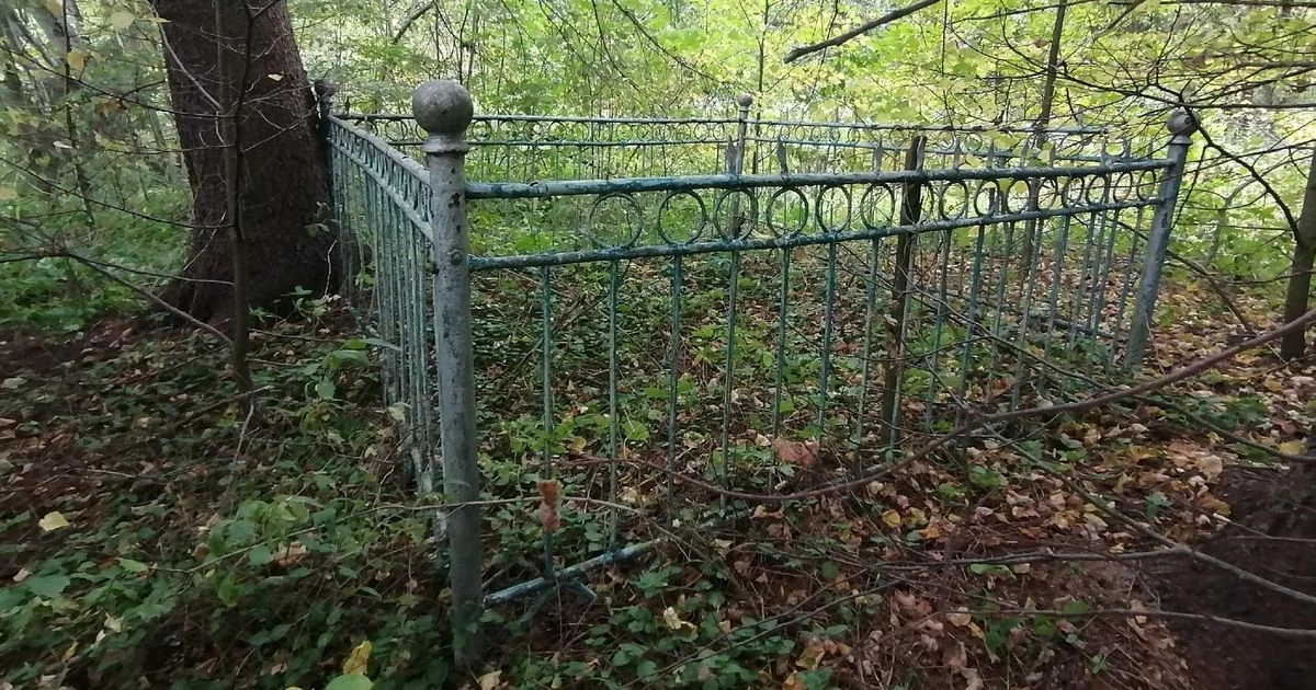 Скугорово (Наро‑Фоминск) — старая оградка на опушке, где когда‑то было первичное захоро...