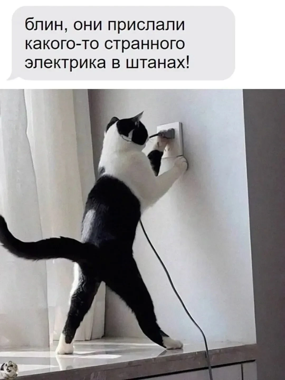 Подпишись на юмор 😂