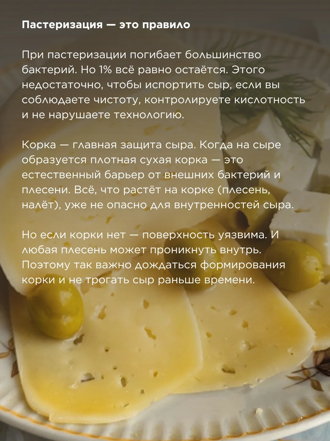 Чистота и безопасность в сыроделии  Многие новички боятся: «А вдруг заведутся бактерии? А вдруг сыр 