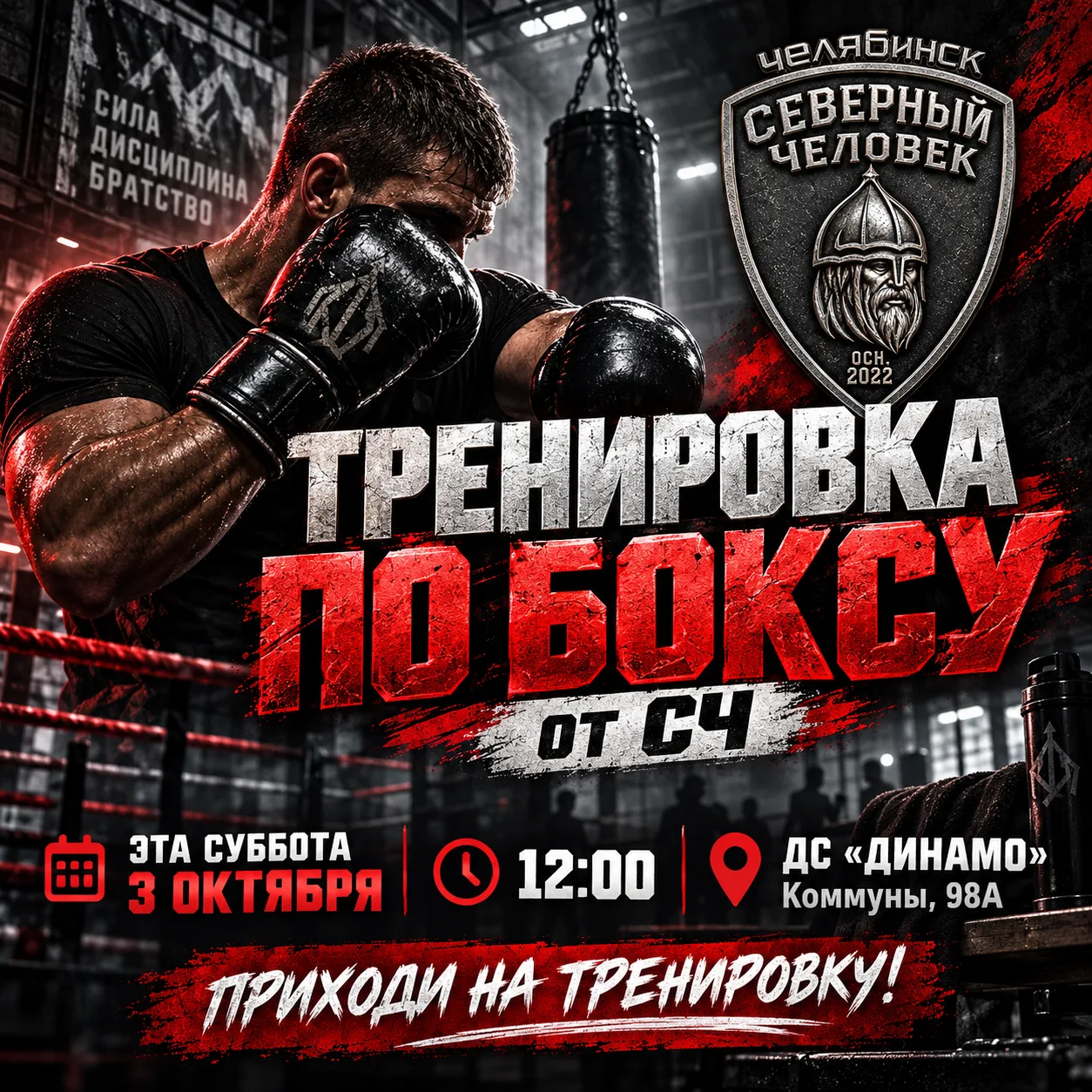 Всем бокс 🥊