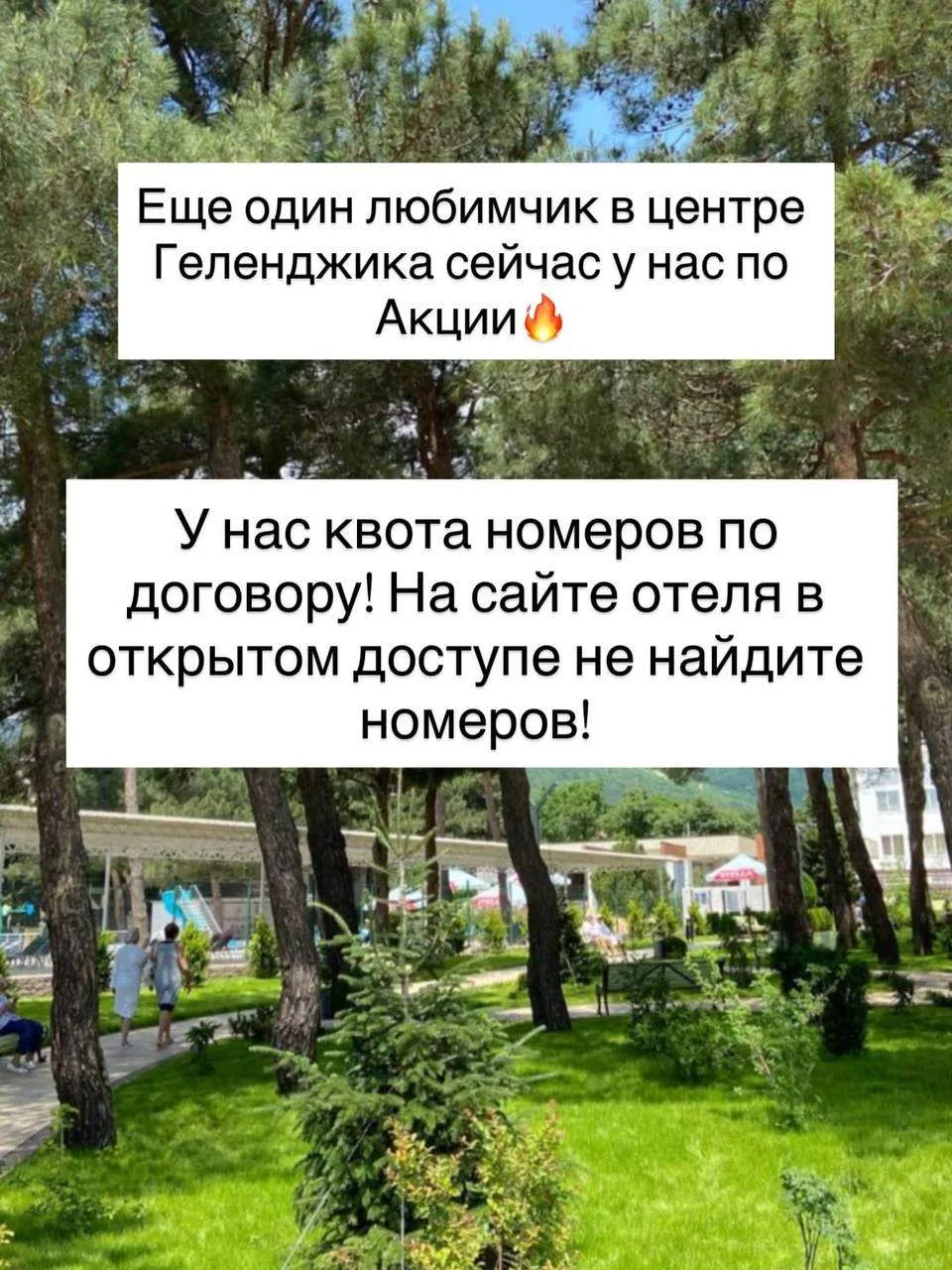 💥АКЦИЯ💥 Геленджик 🌴 Майские праздники в самом сердце Геленджика ❤️Отель «Приветливый берег» 4⭐️ — ид