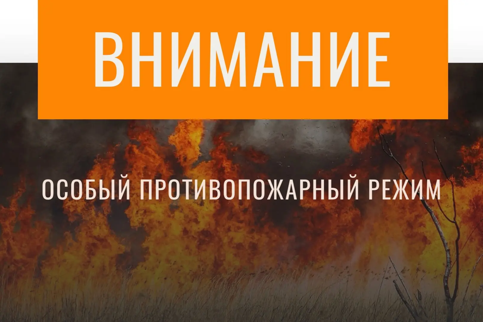 ❗️❗️В лесах Брянской области введен особый противопожарный режим

В связи с повышением пожарной опас