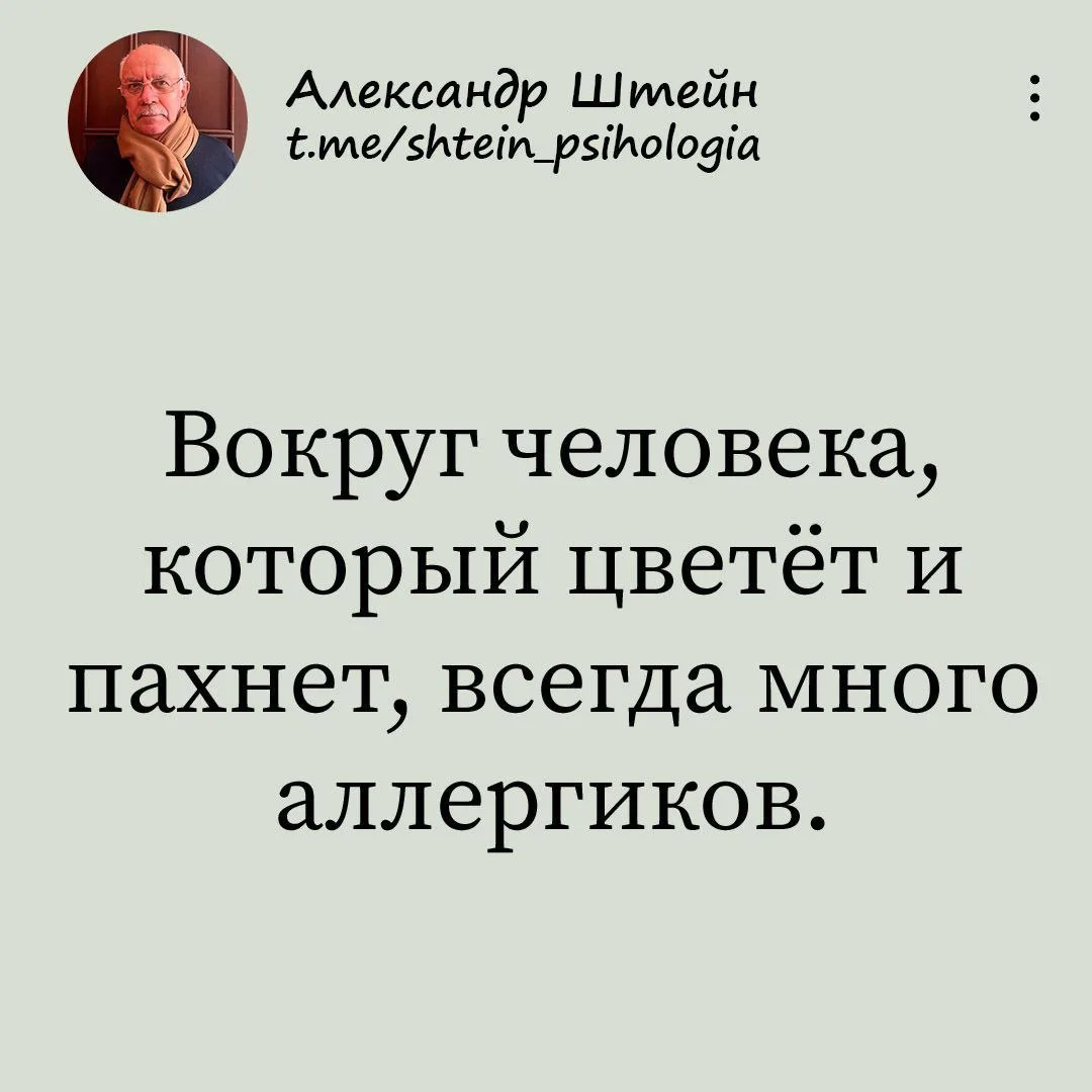 Александр Штейн