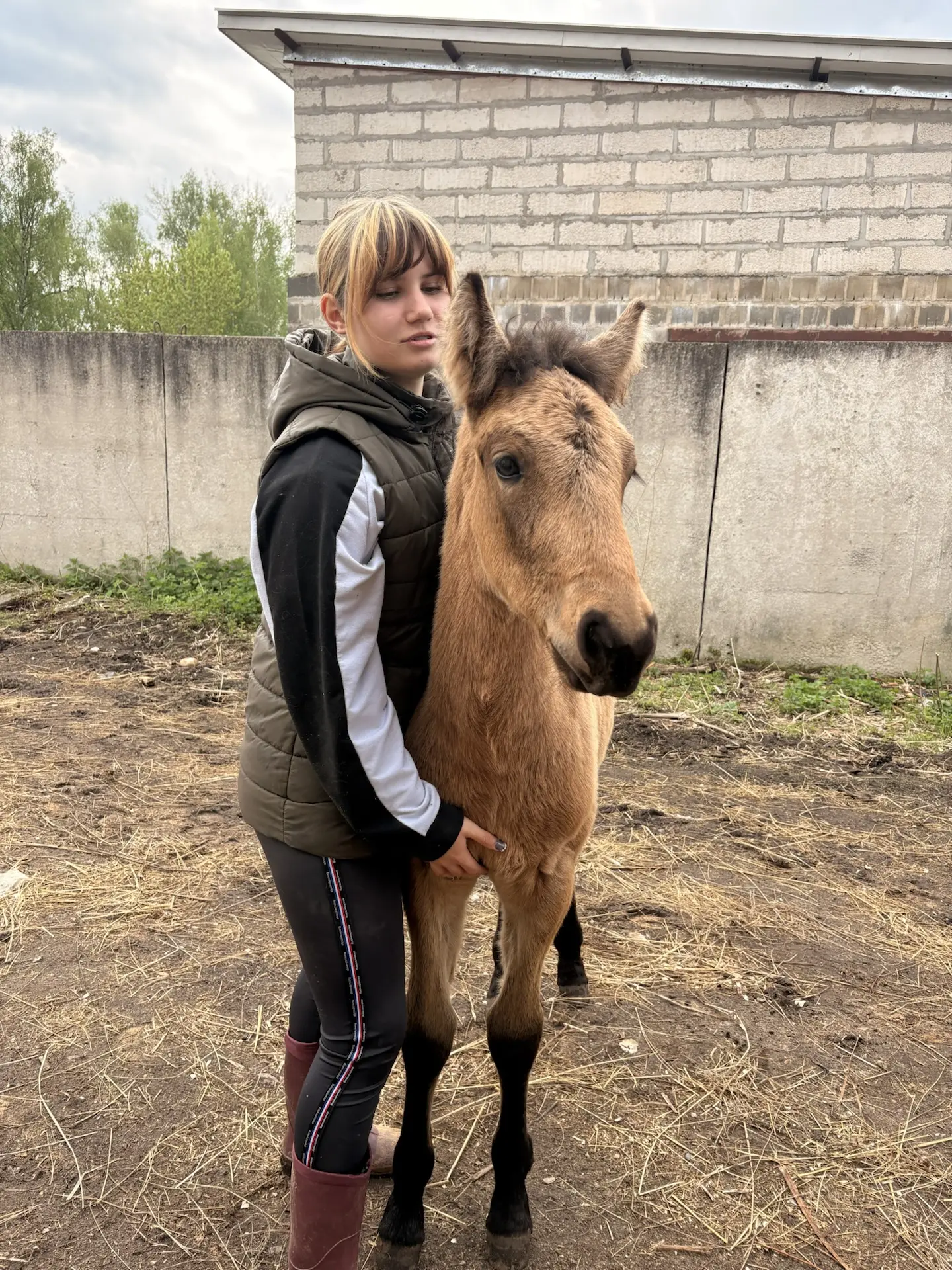 Доброе утро