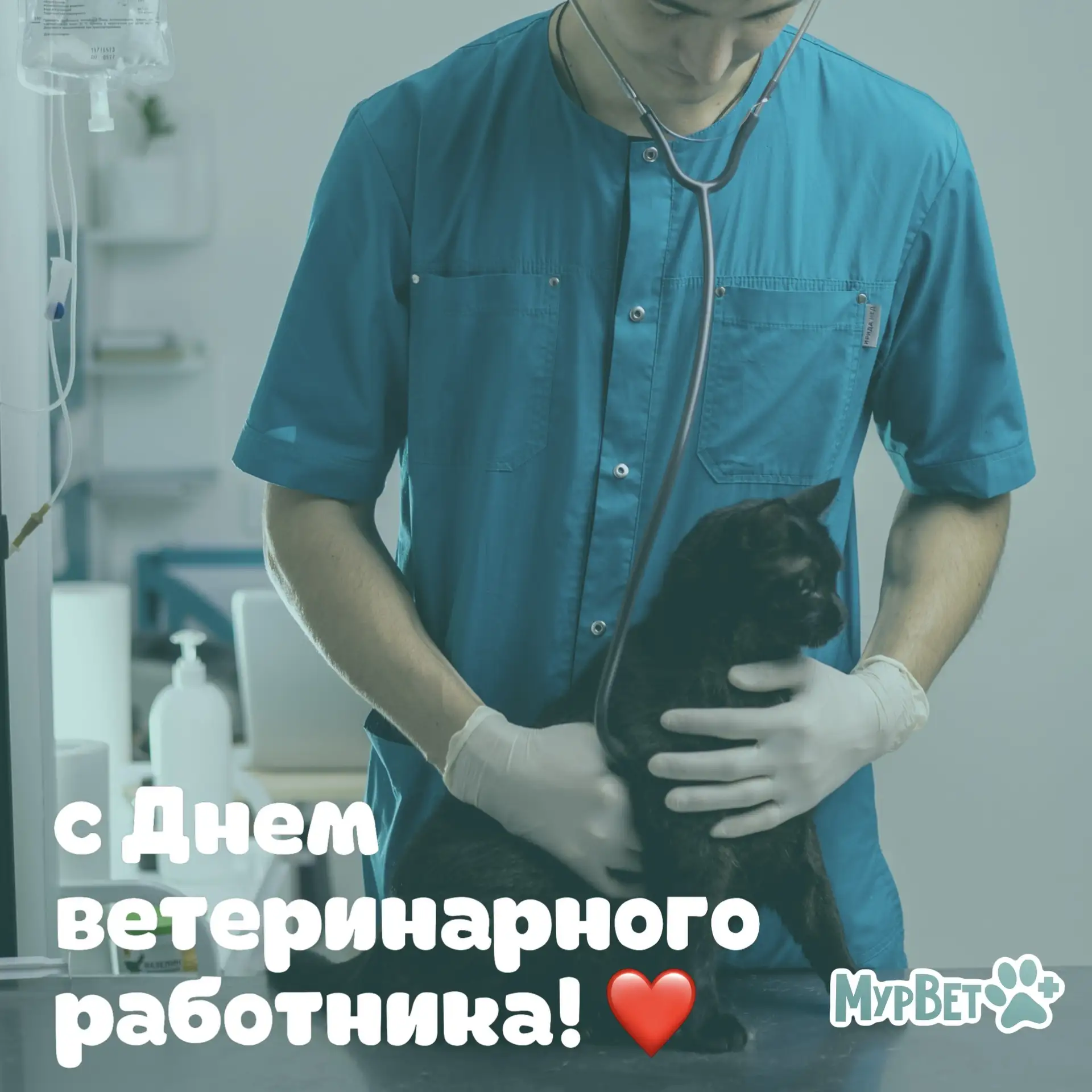 Поздравляем всех причастных ❤️