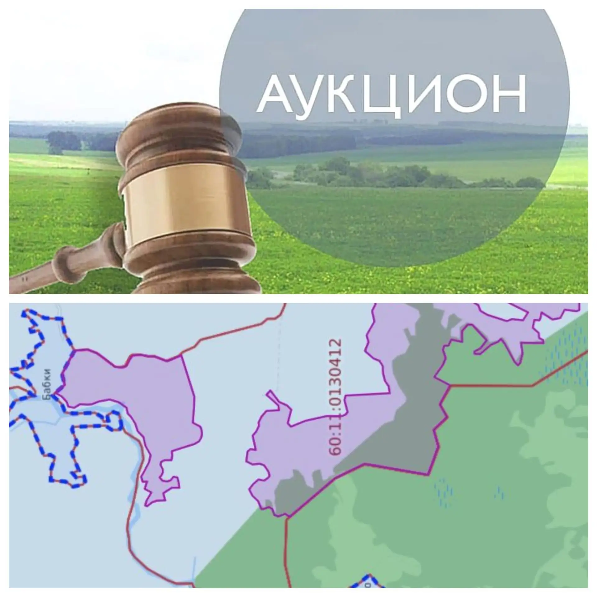 ✔️Аукцион на право заключения договора аренды земельного участка из земель сельскохозяй...