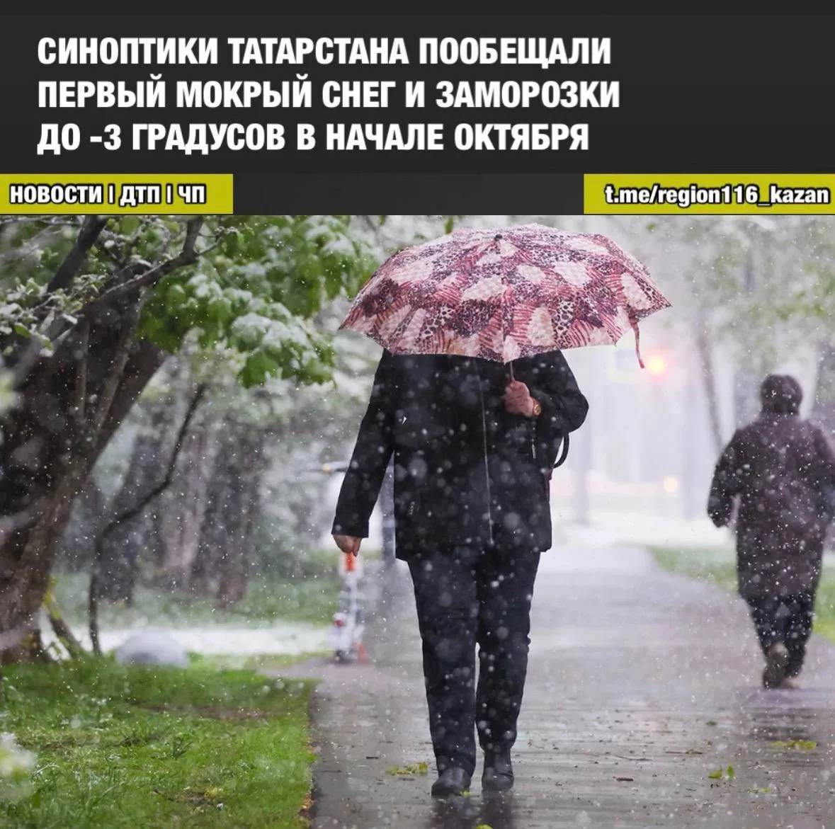 🌬️ В пятницу в республику придёт предзимняя погода