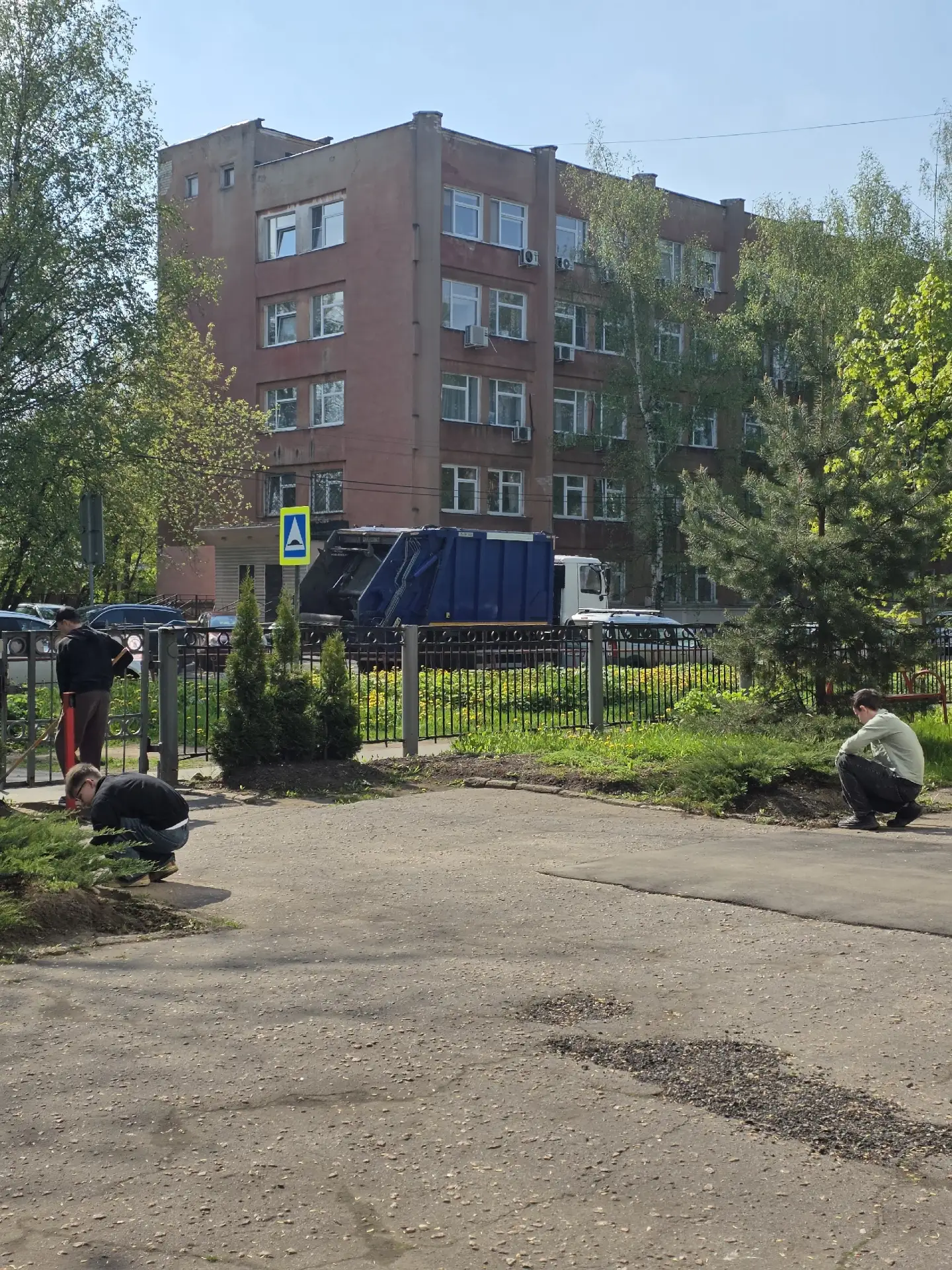 Ребята в школе вырастили рассаду овощных и цветочно-декоративных растений. Пришло время...