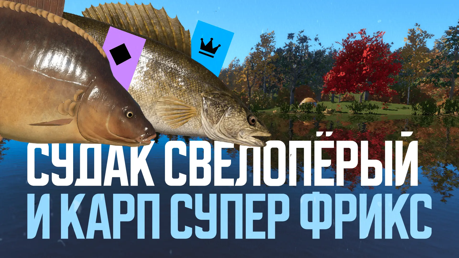 🎣 Стрим начался: