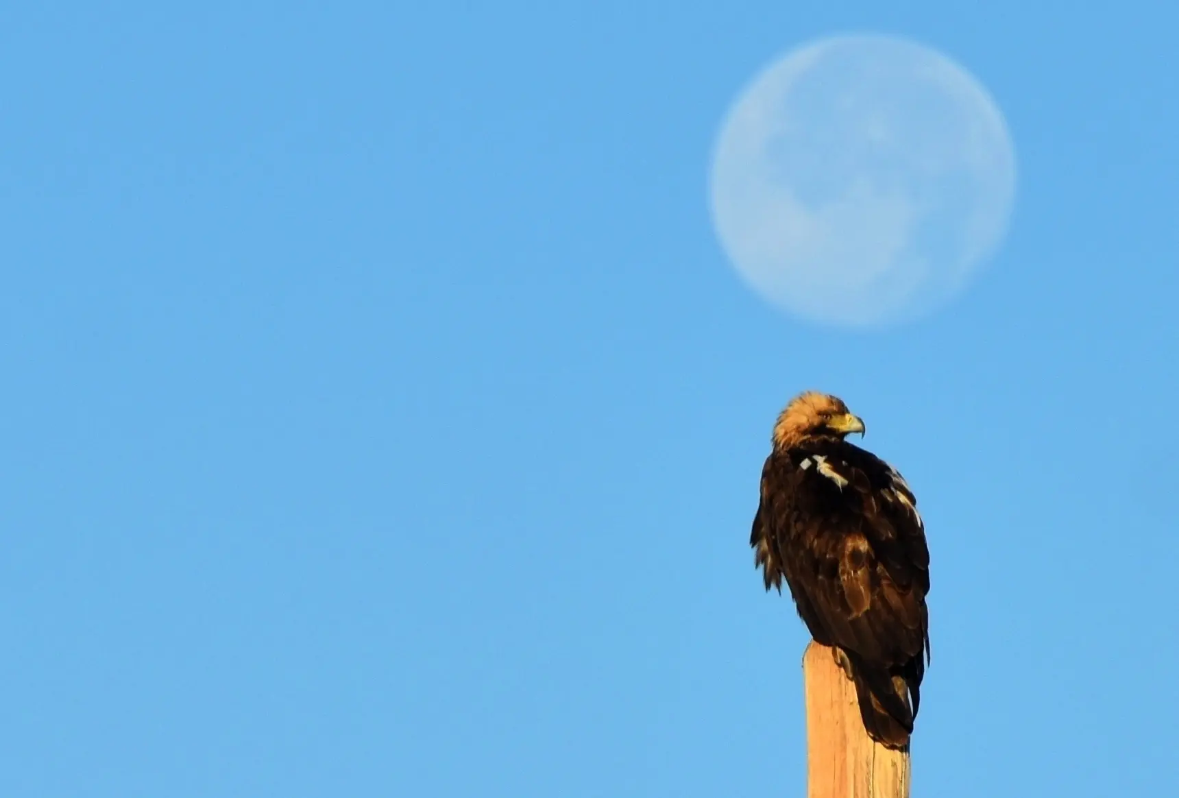 🌕 Доброе утро, Оренбуржье!