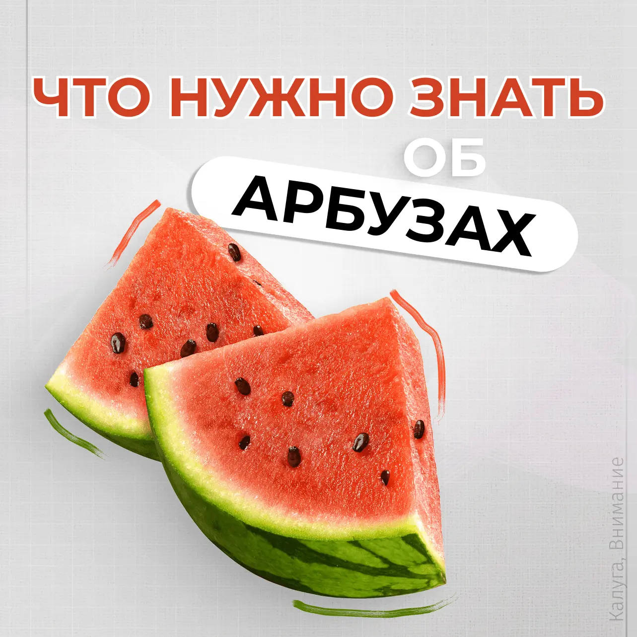 Сезон арбузов открыт: эксперты назвали главную опасность при покупке

Полосатых ягод на прилавках вс