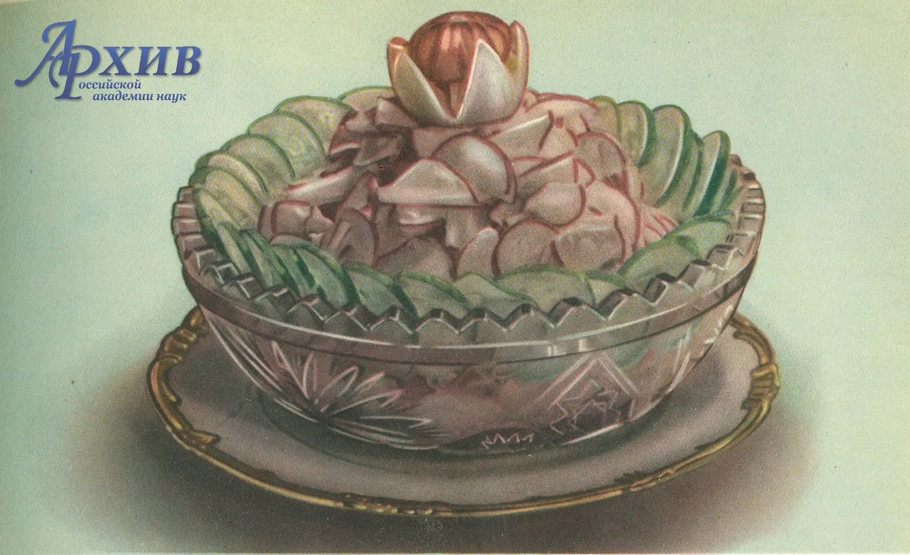 Сезон салатов
