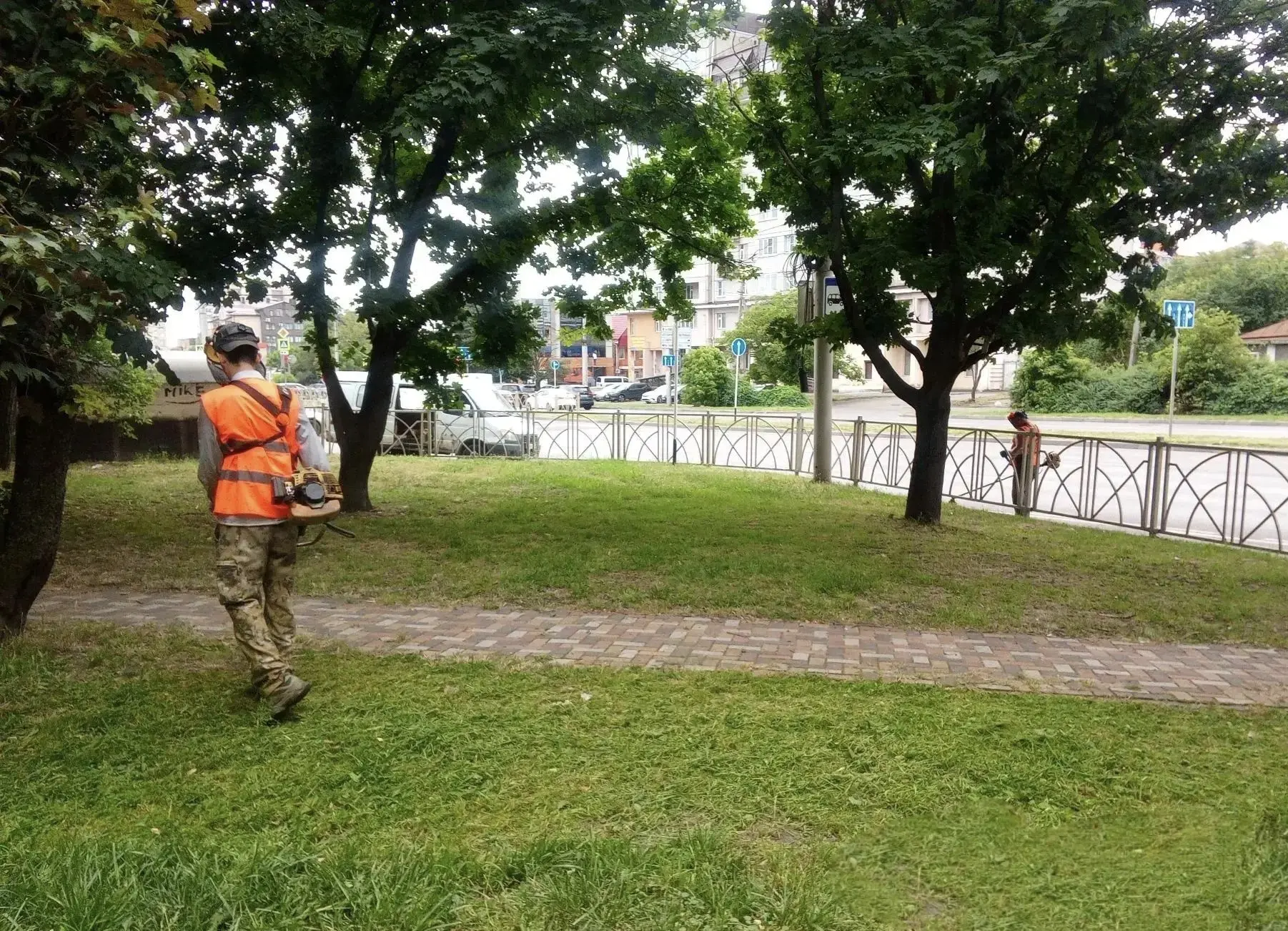В период активного роста, цветения амброзии и других аллергенов, особое внимание уделяем уничтожению