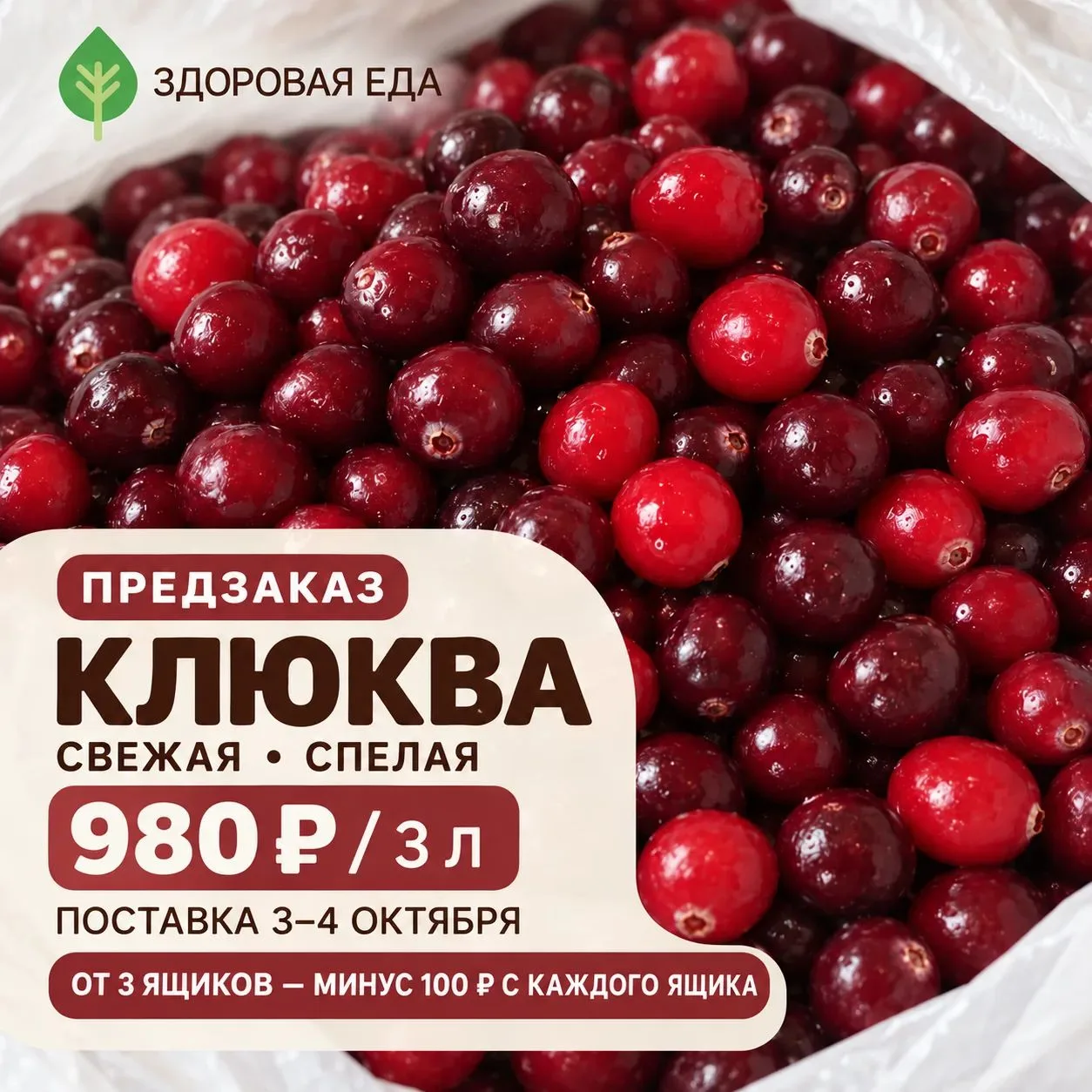 ✨ Открываем сбор и предзаказ на свежую клюкву!