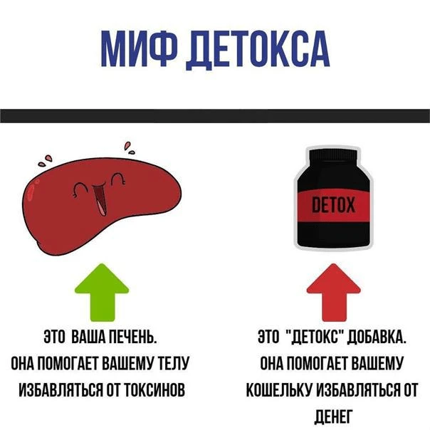 Меня раздражает миф про «токсины»  Каждый раз, когда вижу рекламу детокс-чая или «очищающего» смузи,