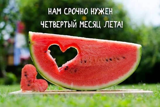 Новая неделя — время больших планов и новых стартов в ДДЮТ! 🏛️✨