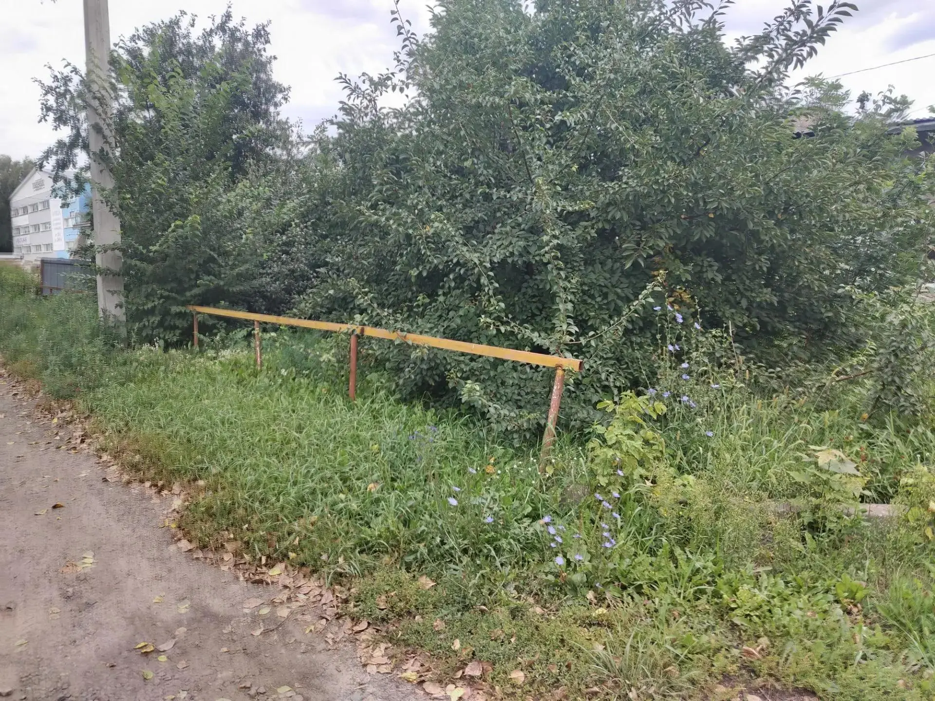 В соответствии с графиком покоса сорной растительности, продолжаются работы по окосу те...