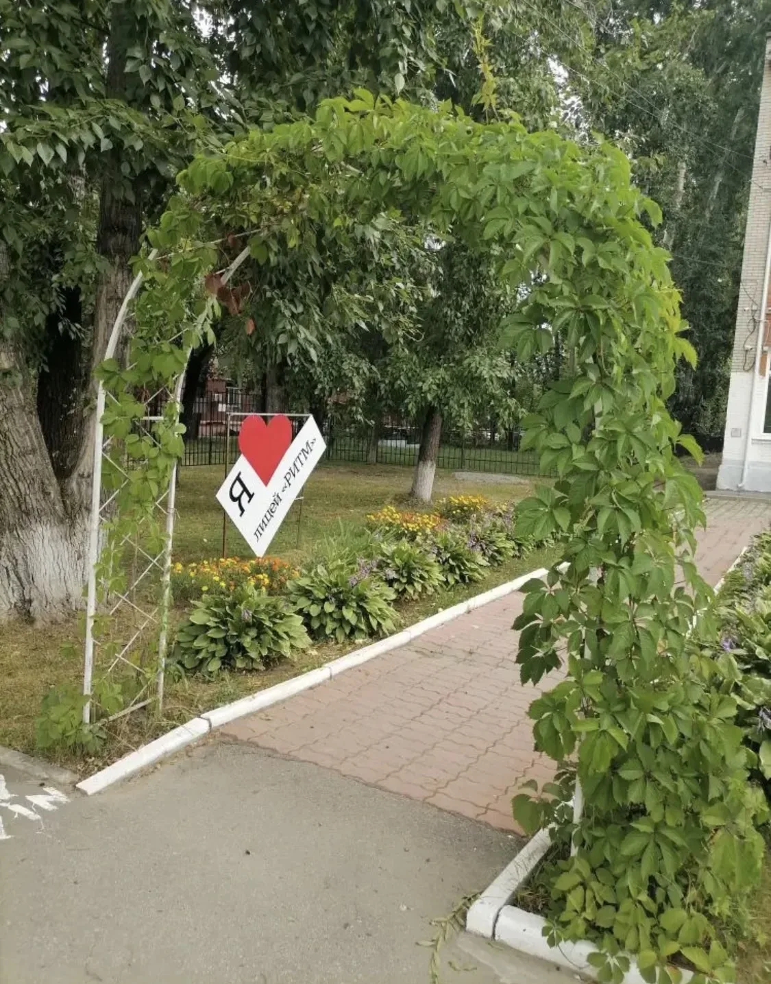 🍃Август в школьном дворе🍃