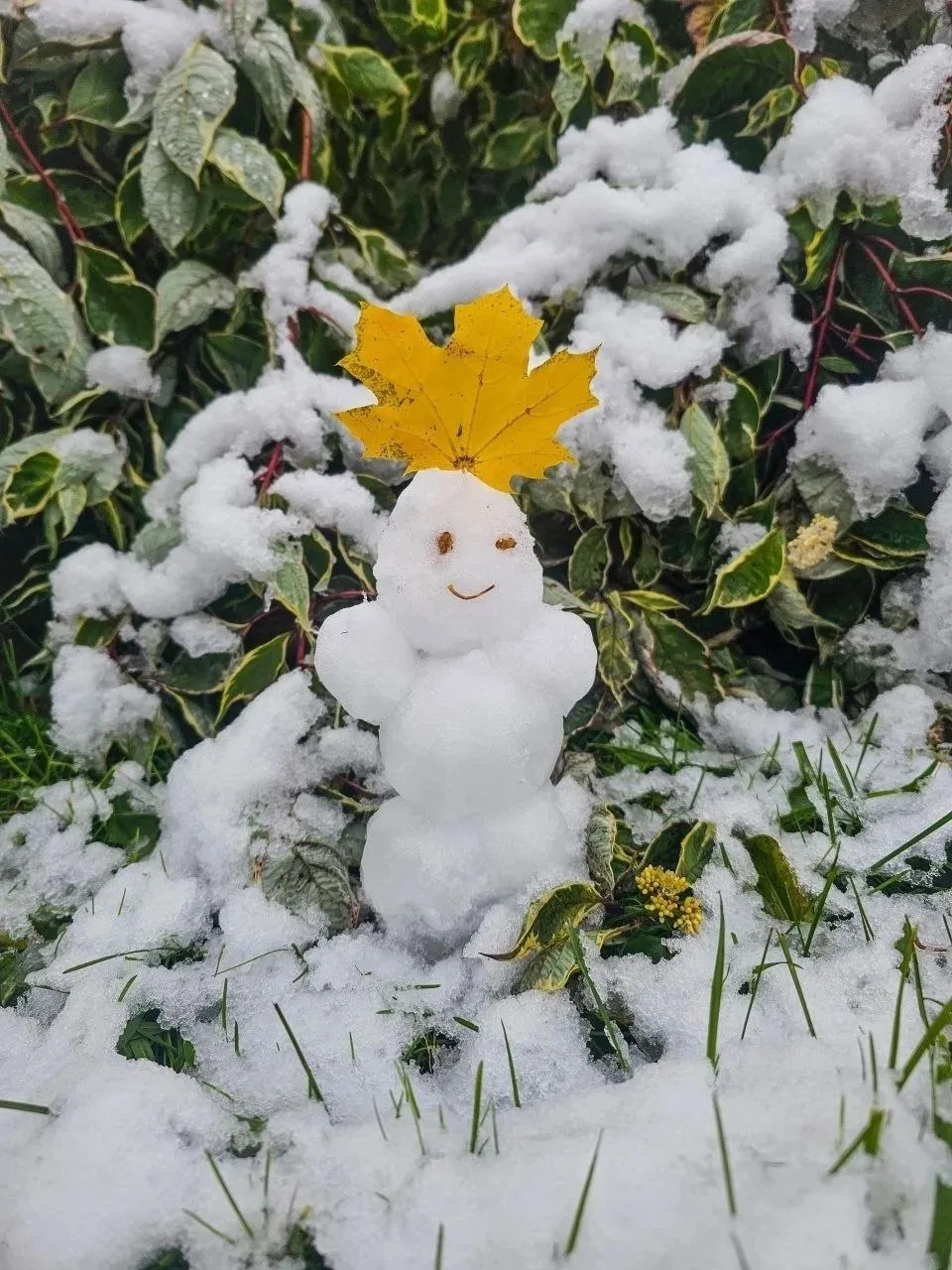 📸 Осенне-зимний Чусовой в двух кадрах