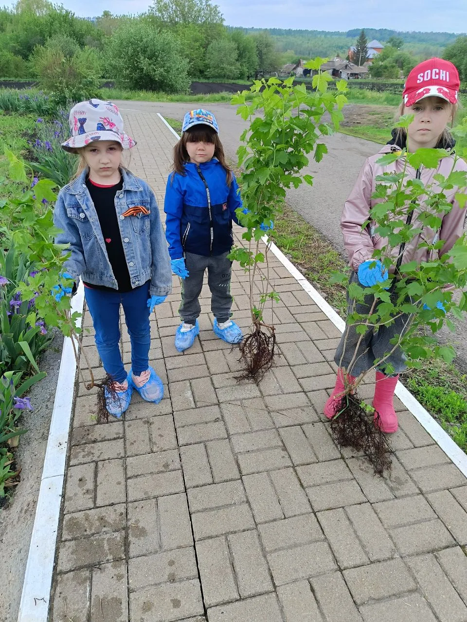Акция Сад памяти ".