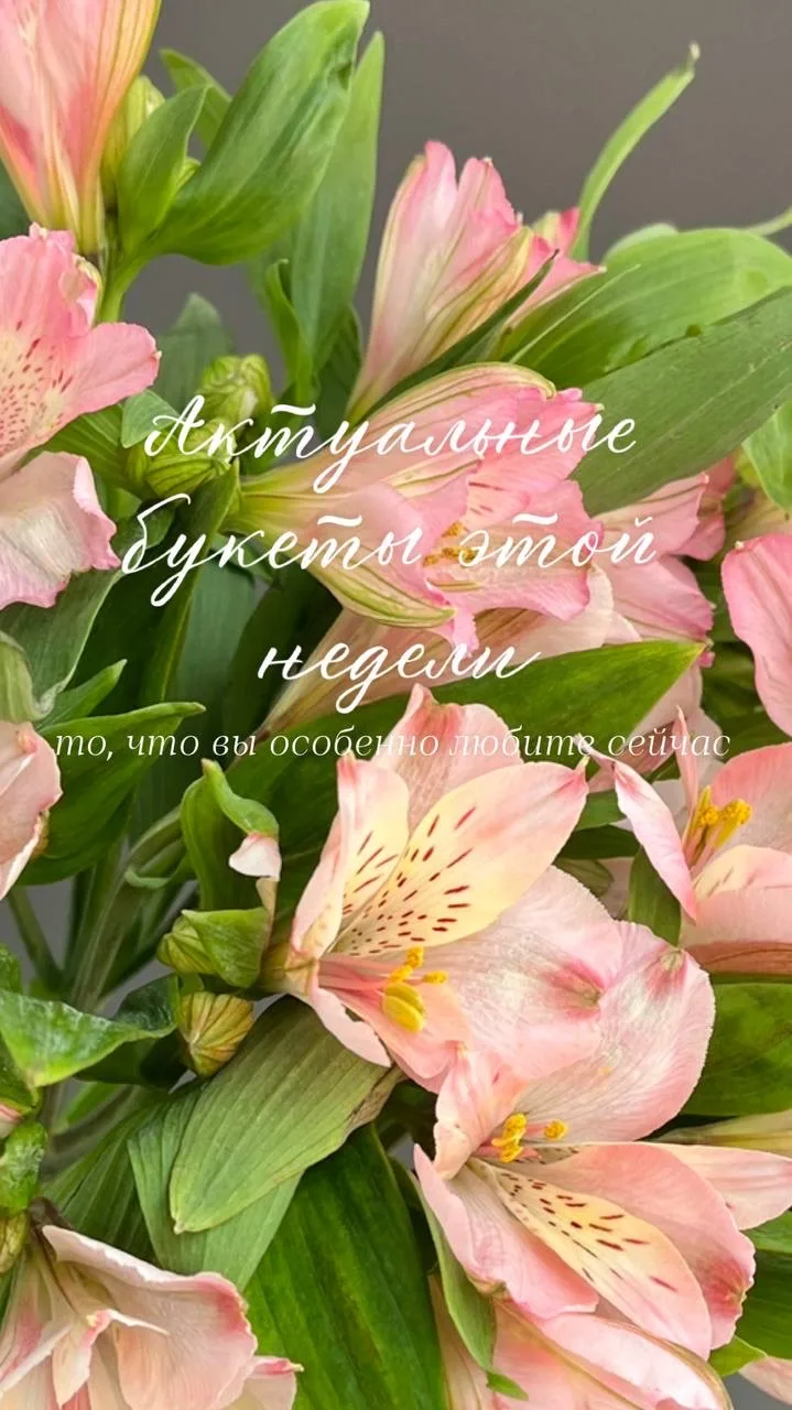 Показываем, что сейчас можно найти у нас на витрине 🌸

Свежие букеты недели — от нежных и спокойных