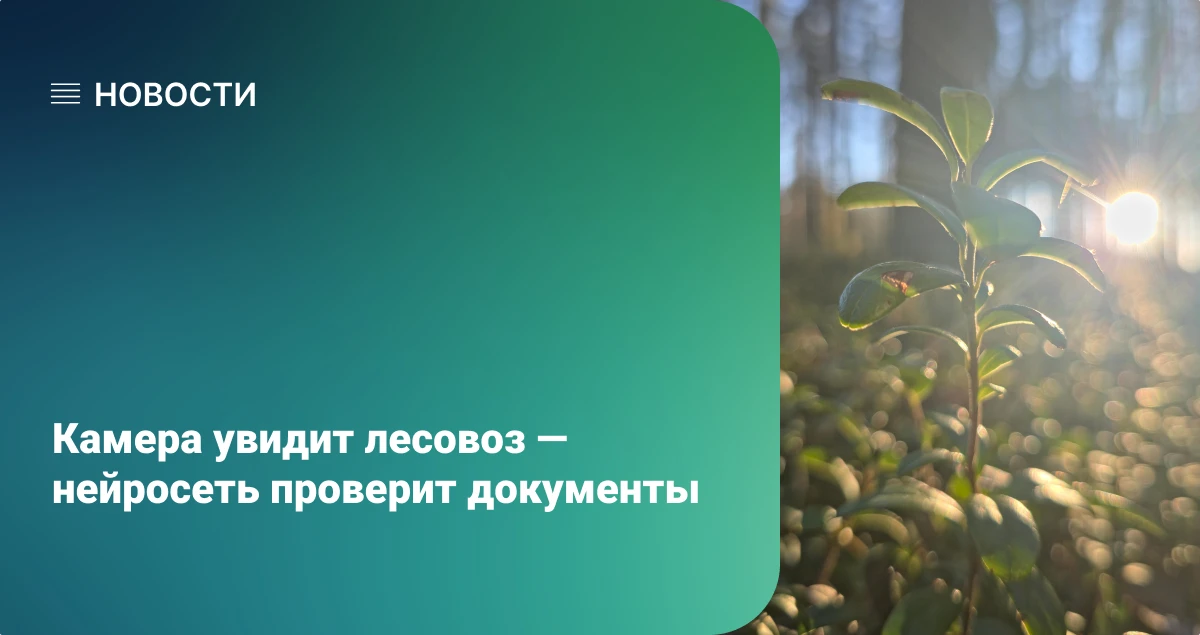 Камера увидит лесовоз — нейросеть проверит документы