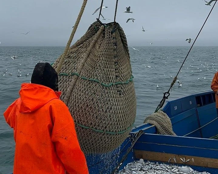 🐟Комитет по рыбному хозяйству Республики Дагестан уведомляет о приеме заявок для участ...