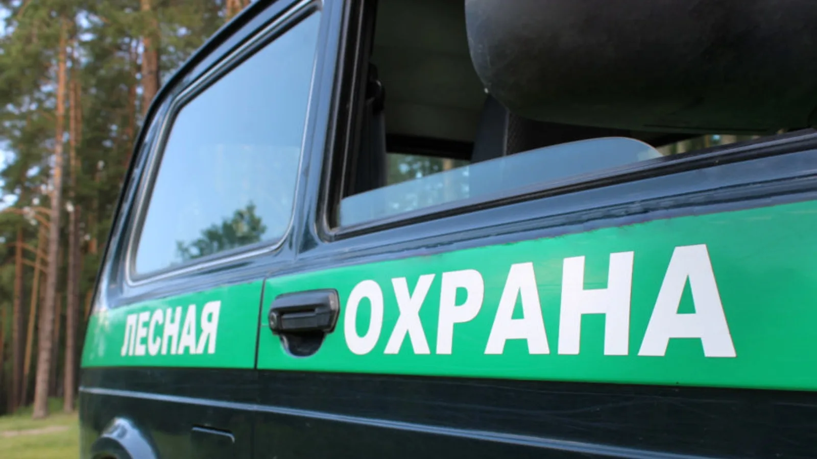 🌲Деятельность лесной охраны в цифрах.