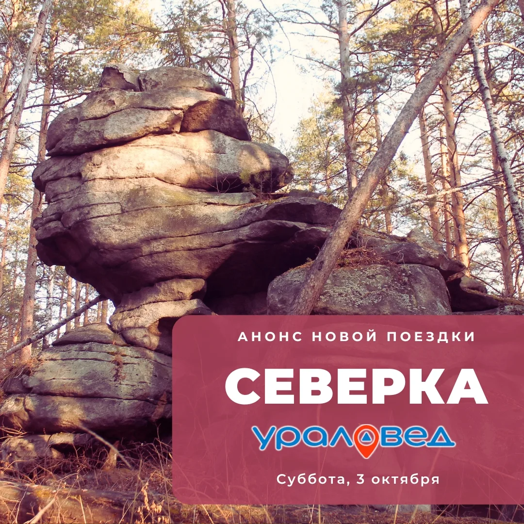 Друзья, есть желающие прогуляться в ближайшую субботу, 3 октября?