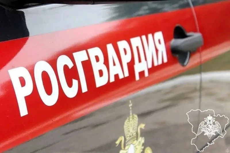Росгвардейцы задержали в Камышине похитительницу телевизора