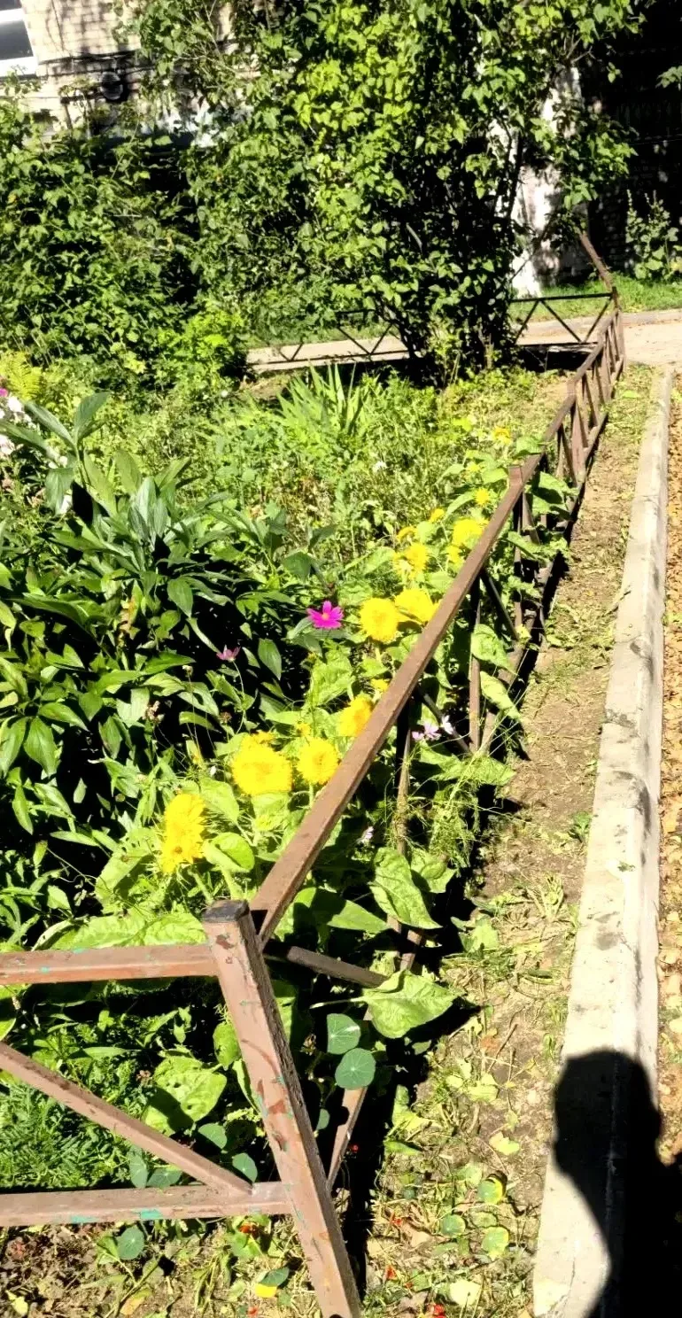 🌿 Дом дышит свежестью!