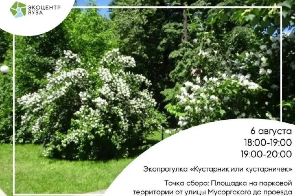 🌿 ЭКОЦЕНТР «ЯУЗА» ПРИГЛАШАЕТ НА ПРОГУЛКУ «КУСТАРНИК ИЛИ КУСТАРНИЧЕК»
