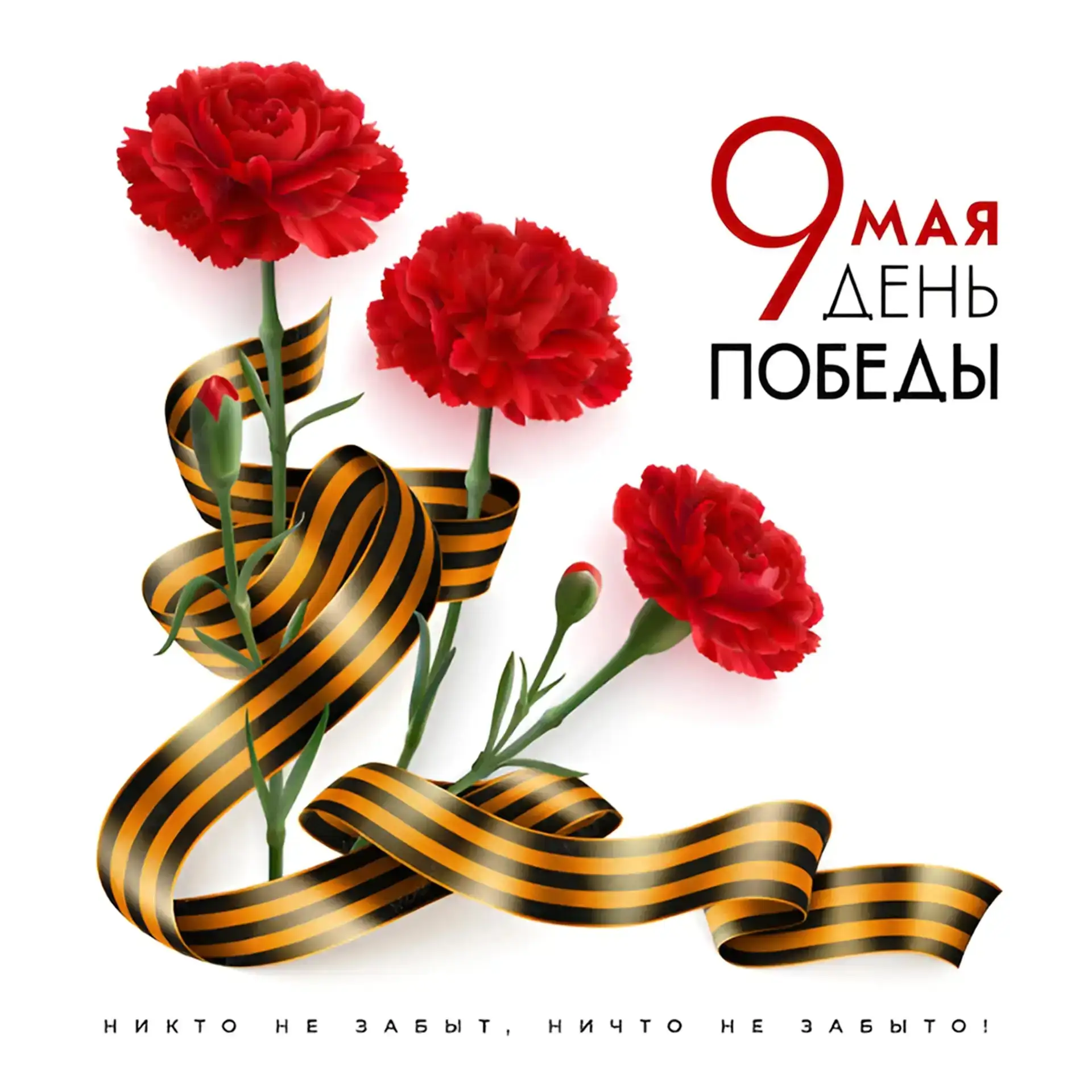 С Днем Великой Победы! В этот священный праздник желаем мирного неба, крепкого здоровья...