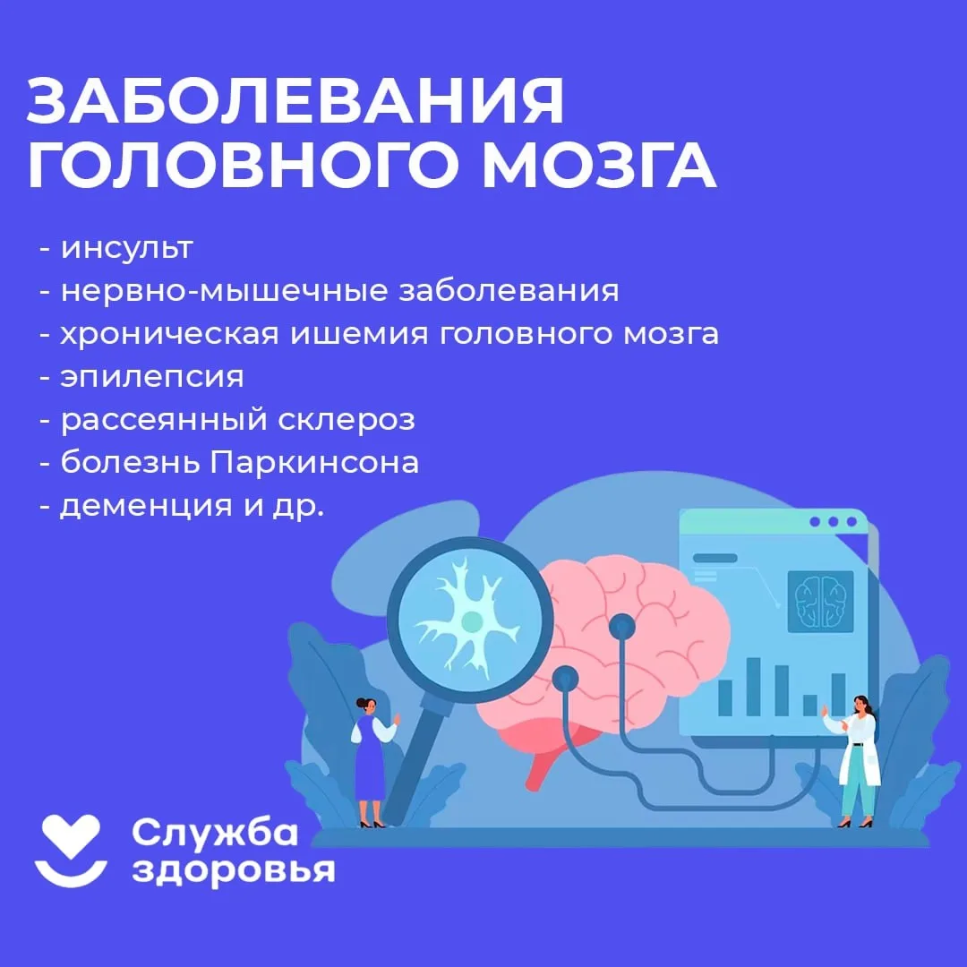 Здоровье головного мозга напрямую влияет на память, внимание, работоспособность и качество жизни. Со