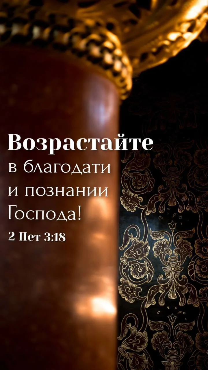 Многие сегодня сетуют на расшатанную нервную систему. Да только она расшатывается самим...