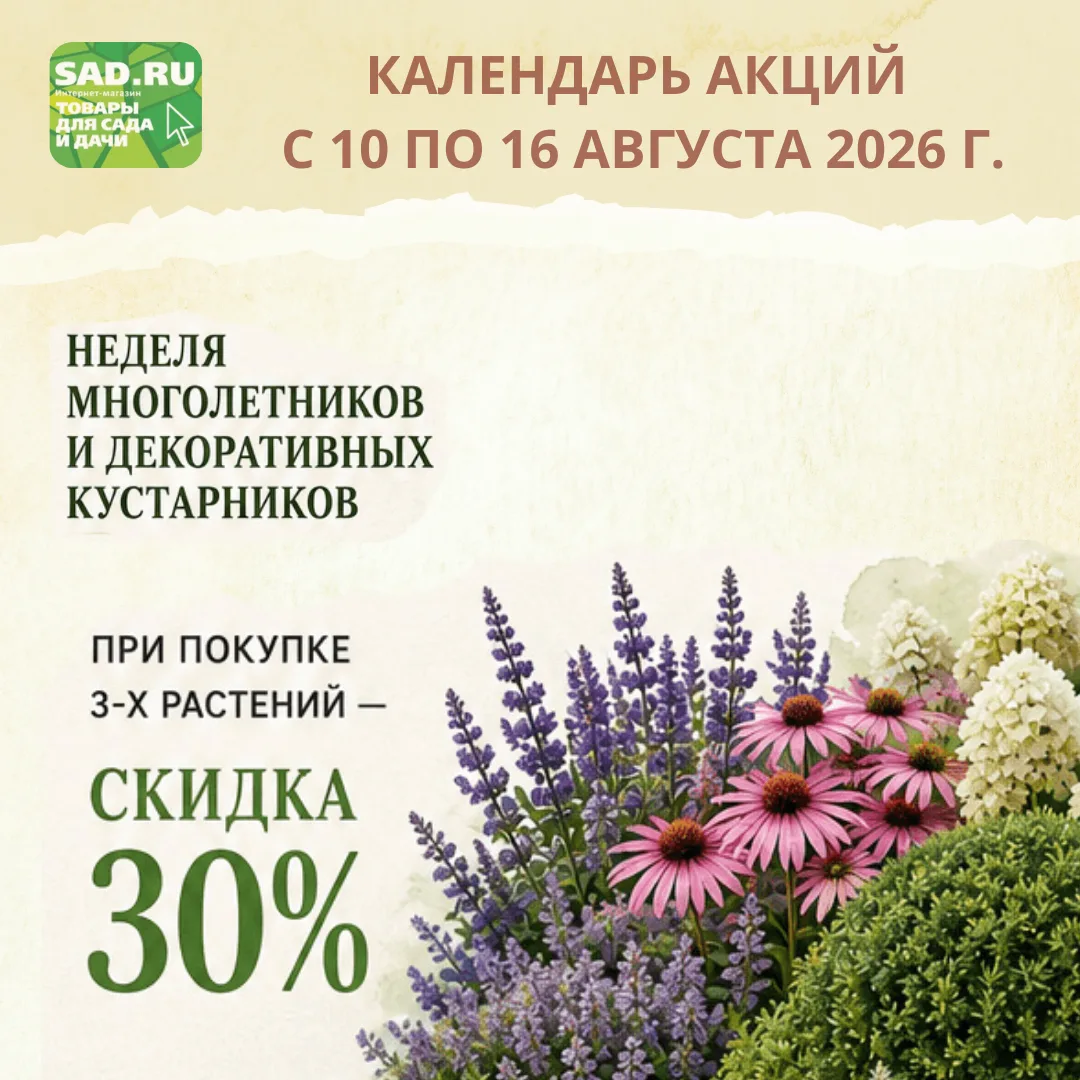 КАЛЕНДАРЬ СКИДОК с 10 по 16 августа 2026