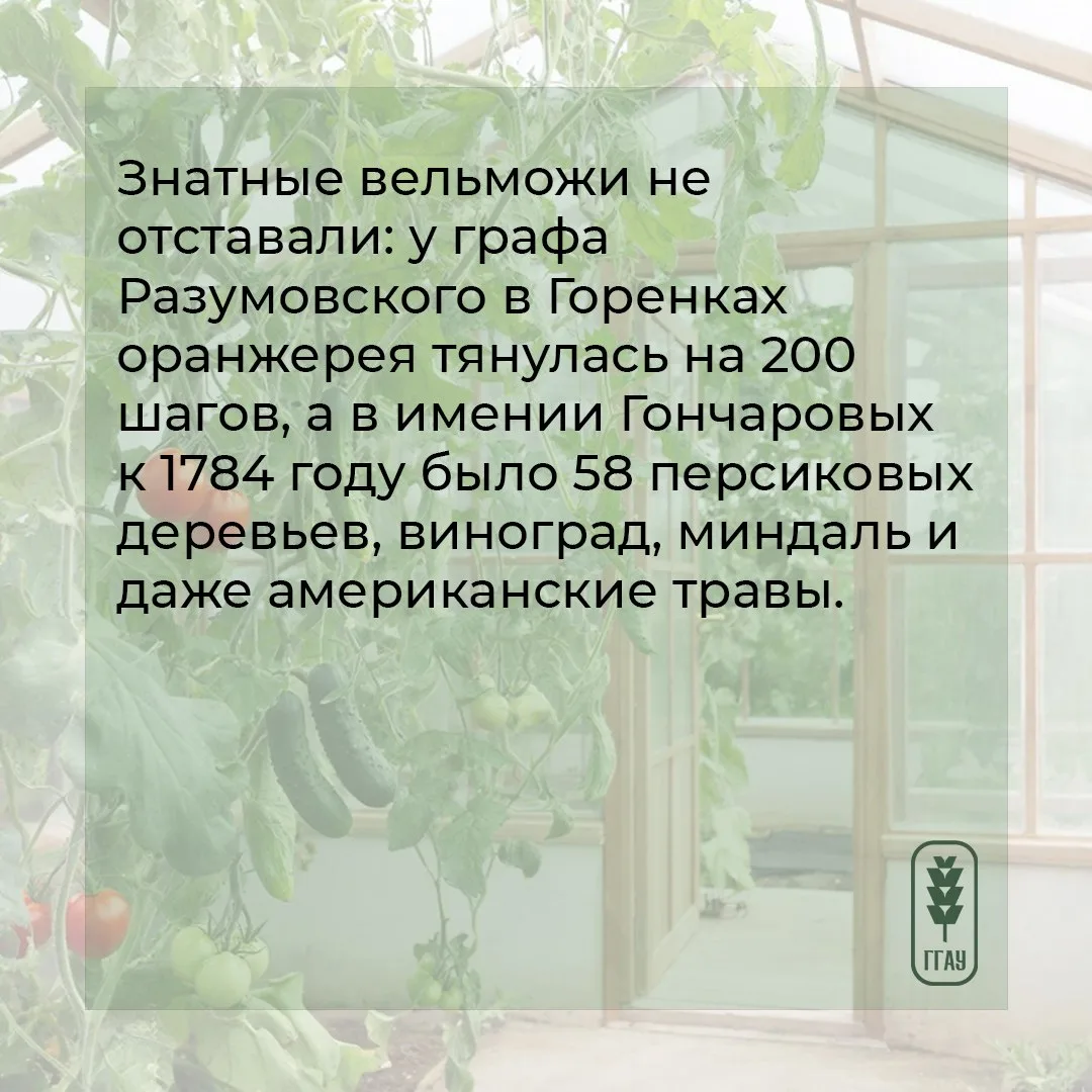 😉 Для одних понедельник – день тяжелый, а мы его сделаем – полезным и интересным. И расскажем о… пол