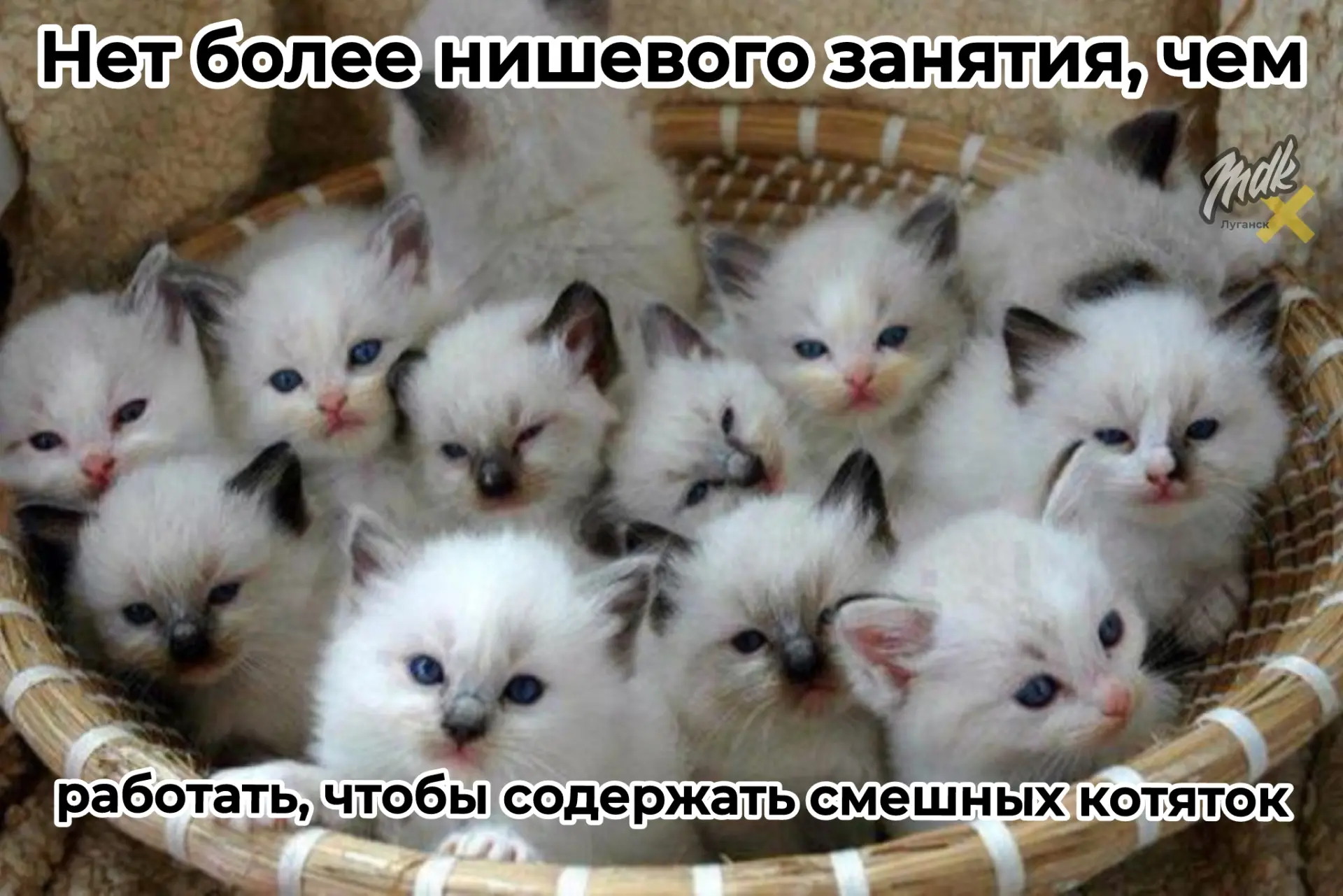 Согласны?