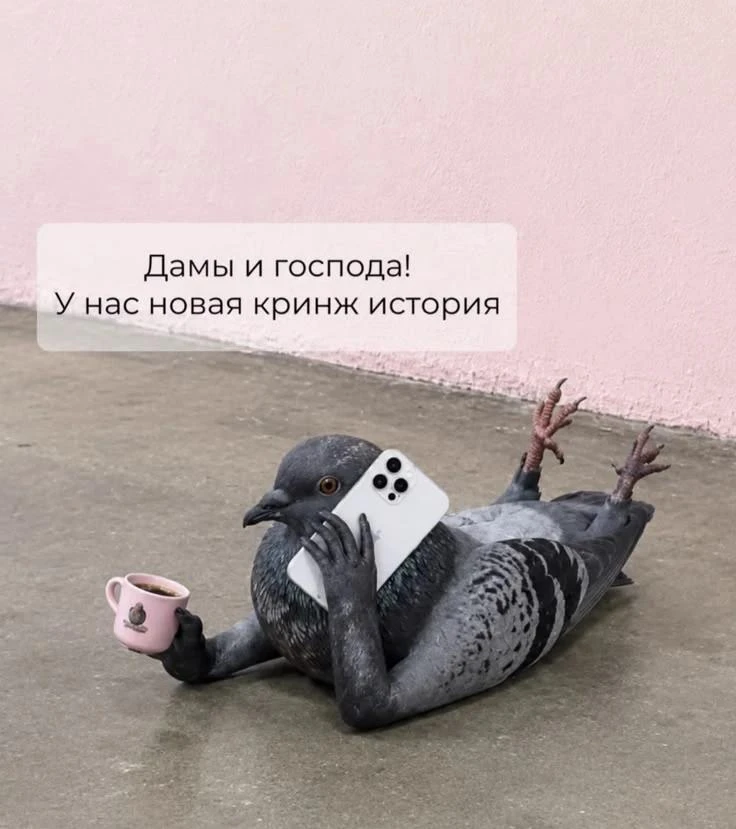 Люди делятся на жаворонков и сов.