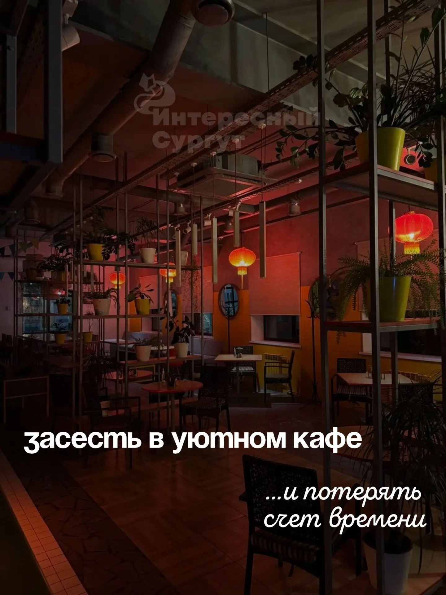 Сегодня празднуется Всемирный день лени😁