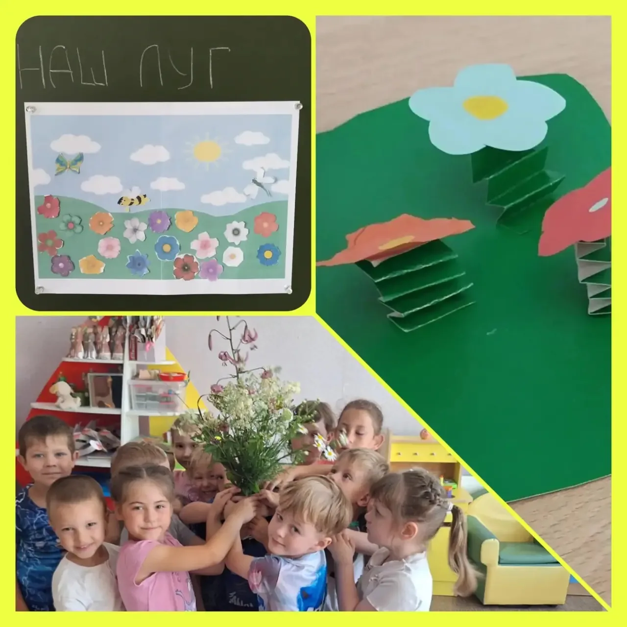 🌷«День полевых цветов!»🌷Полевые цветы — это растения, которые растут в полях, на лугах и лесных оп